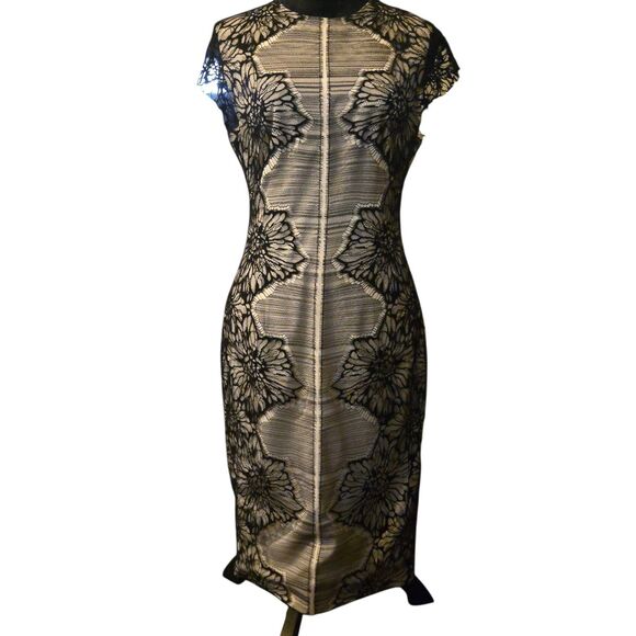Lela Rose 10 Sheath Dress Silk Wool Lace Princess Of Wales Witchy Flaw Lining - Picture 1 of 10